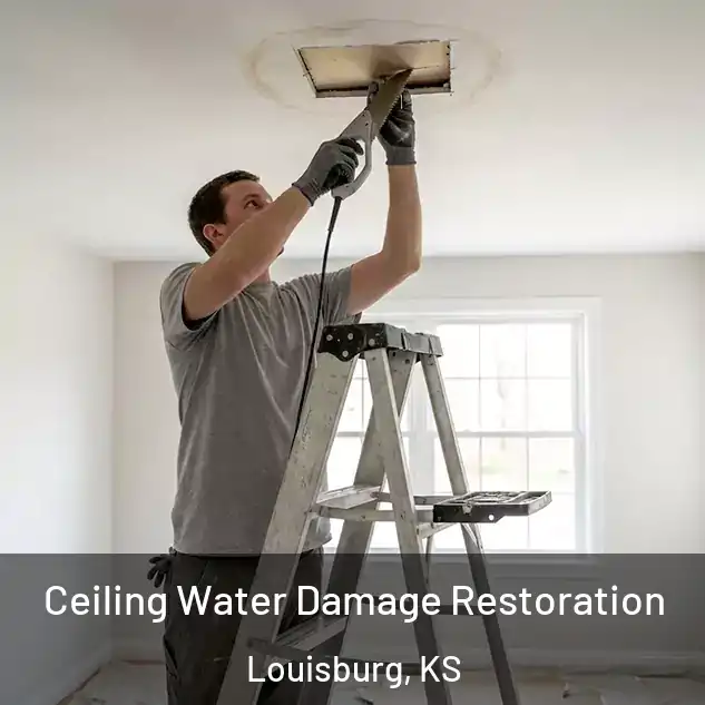  Ceiling Water Damage Restoration Louisburg, KS