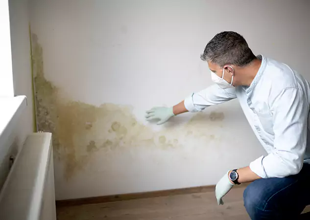 Reach Our Remediation Team Before Damage Grows in Louisburg, KS!