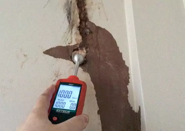 Your Water Damage Assessment Partner in Louisburg, KS