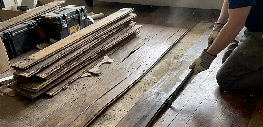 Wood Rot and Fungus Repair in Louisburg