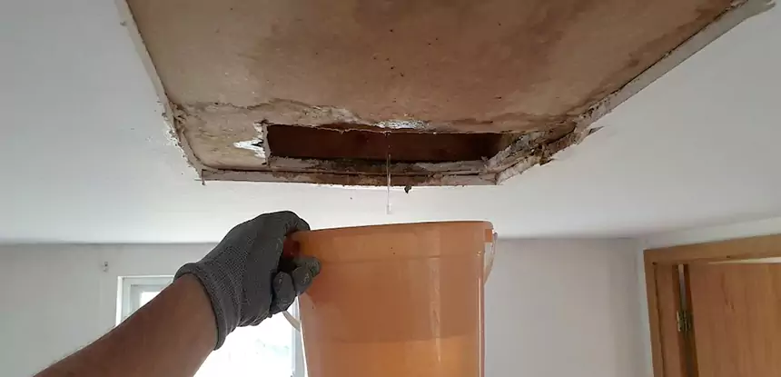 Ceiling Mold Repair Louisburg