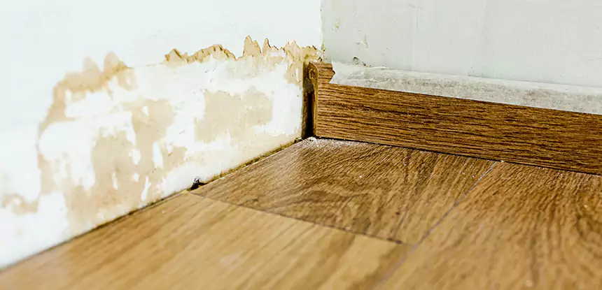 Professional Fix Water Damaged Wood Services in Louisburg, KS