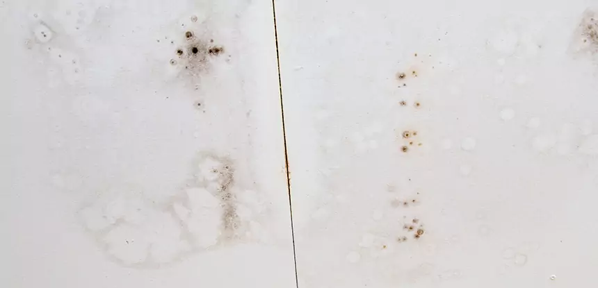 Professional Water Stain Repair Services in Louisburg, KS