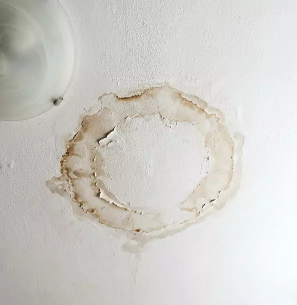 Why Louisburg Property Owners Choose Louisburg Restoration Pro for Ceiling Water Damage Restoration?