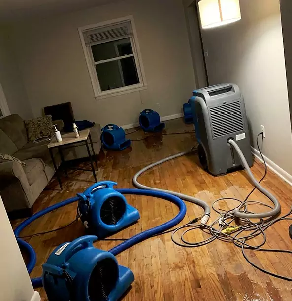 Why Louisburg Property Owners Rely on Louisburg Restoration Pro for Remediation?