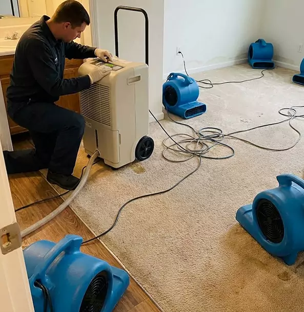 Why Louisburg Homeowners and Businesses Trust Louisburg Restoration Pro for Carpet Drying?