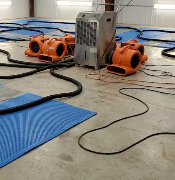 Why Louisburg Homeowners and Businesses Choose Louisburg Restoration Pro for Wet Carpet Removal?