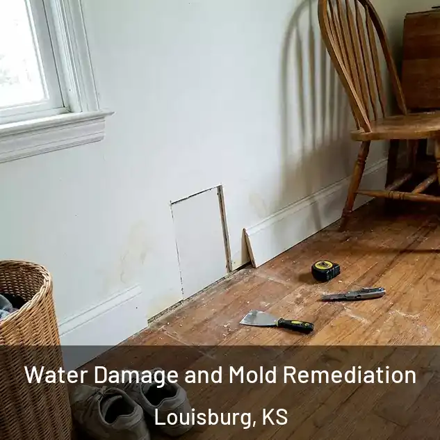  Water Damage and Mold Remediation Louisburg, KS
