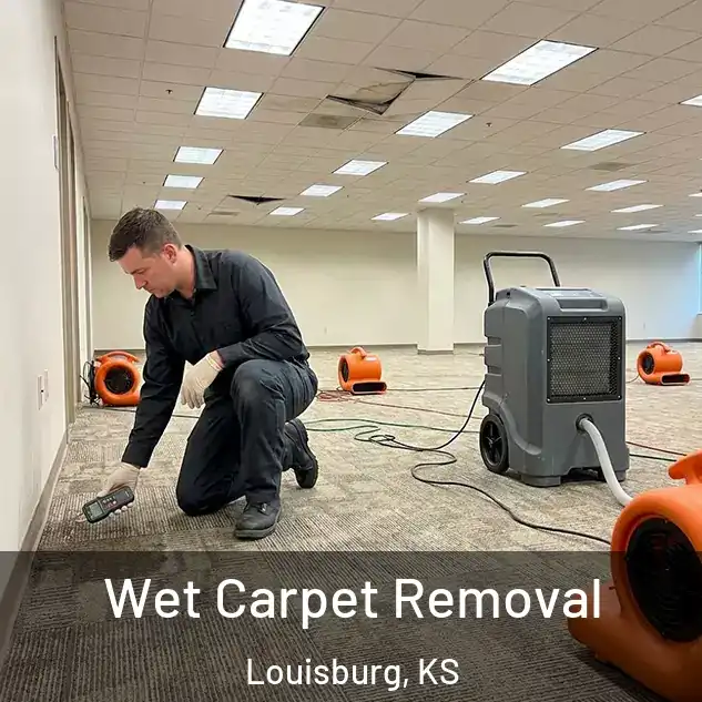  Wet Carpet Removal Louisburg, KS